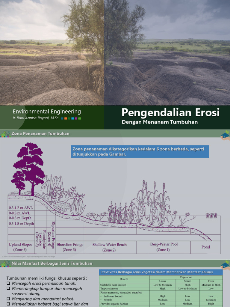 Pengendalian Erosi dengan Vegetasi | PDF
