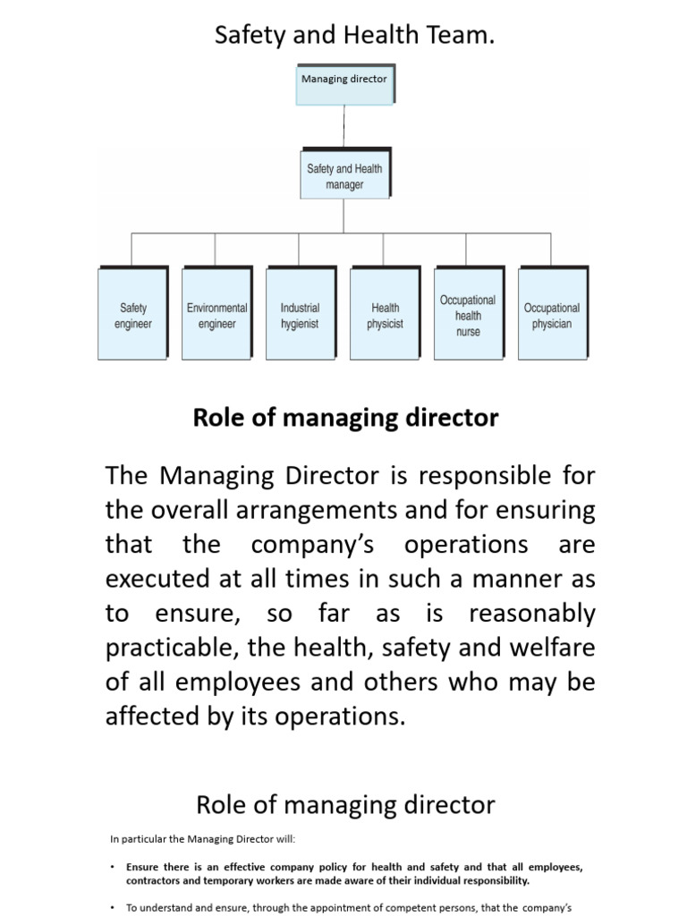 Occupational Hygiene Management Roles | PDF | Occupational Safety And ...