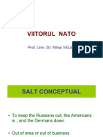 Viitorul Nato