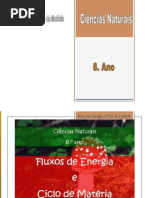 Fluxo de Energia_ciclo Da Materia_2011_FV