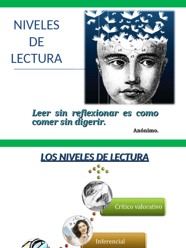 Niveles de Lectura y Comprensión | PDF
