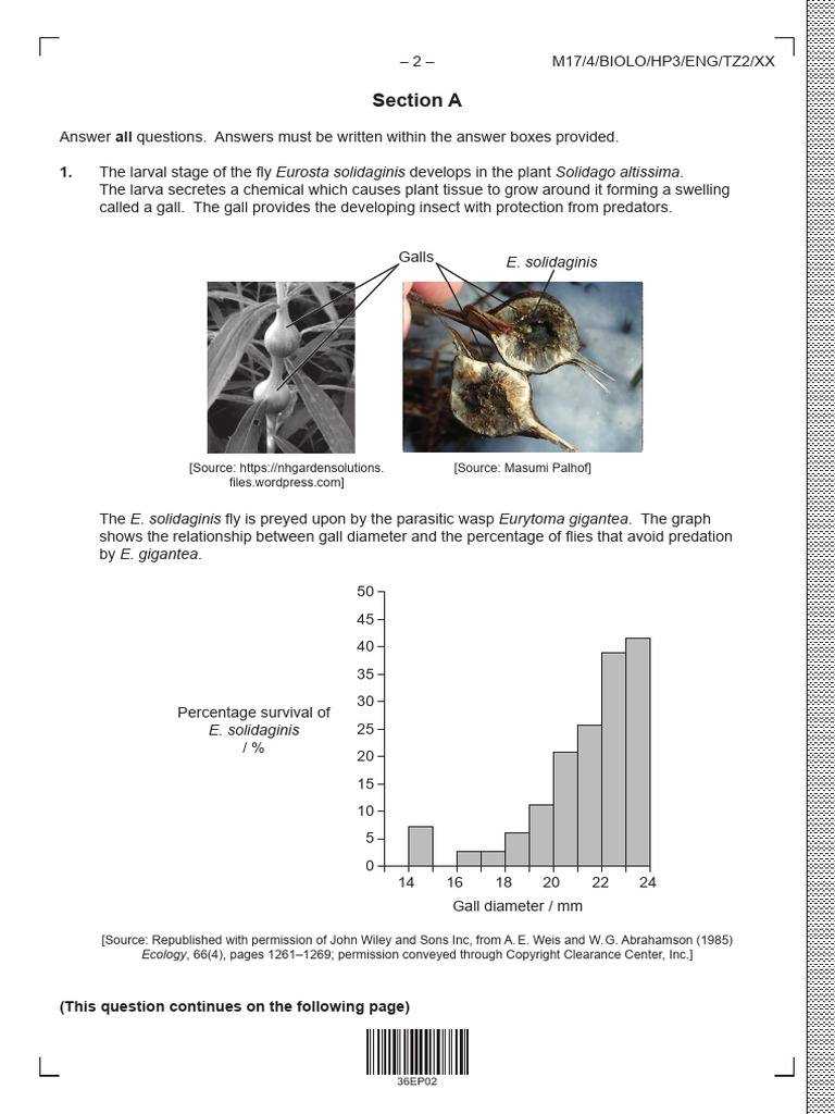 Biology P3 HL Bio With MSchemes | PDF | Hormone | Ventricle (Heart)