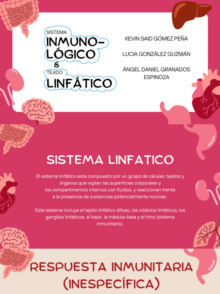 Sistema Inmunológico Y Tejido Linfatico Pdf
