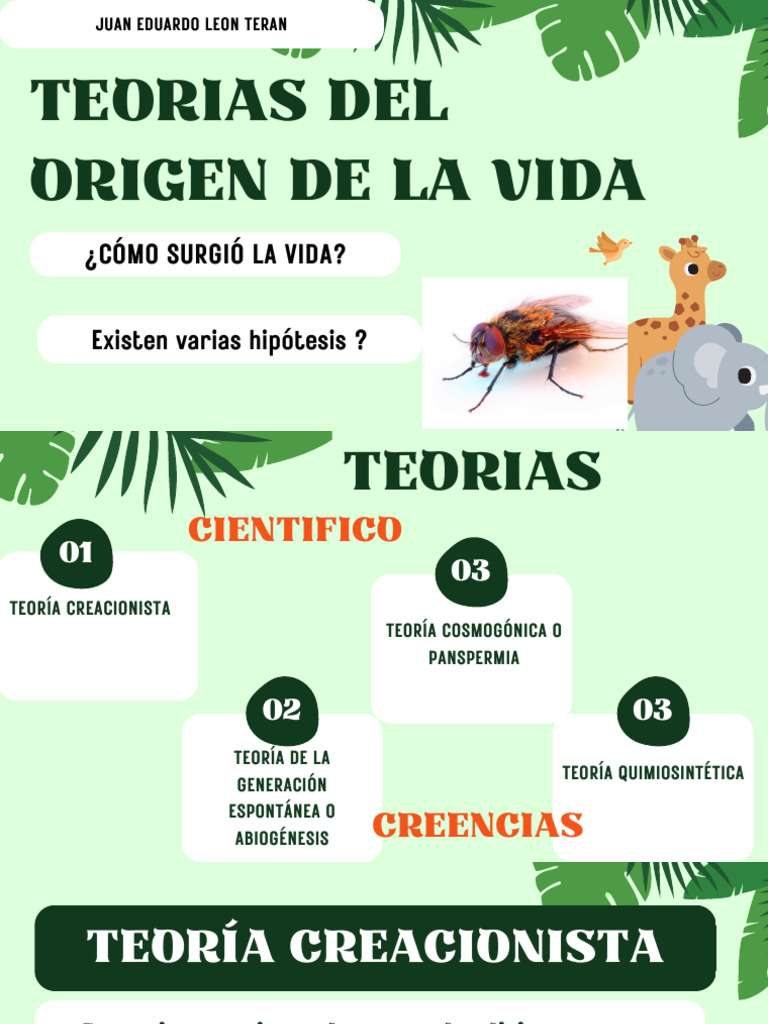 Teorías del Origen de la Vida | PDF | Evolución biológica | Evolución