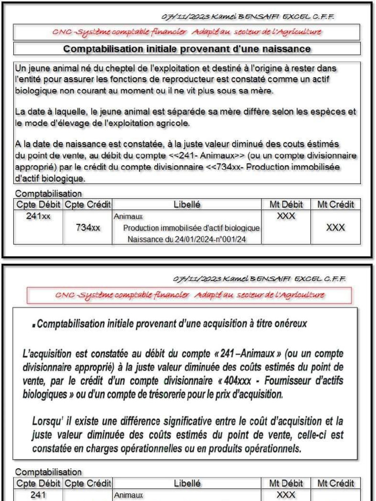Comptab Naissance Acquisition Animal Actif Biologique | PDF