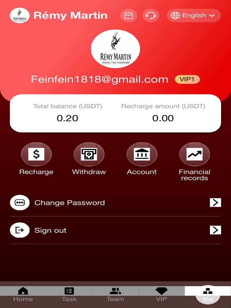 VIP User Account Summary | PDF