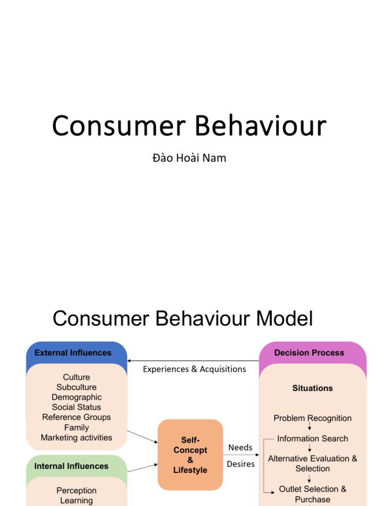 Behaviour Selfconcept Lifestyle | PDF