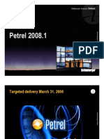 Petrel 2008 Presentation