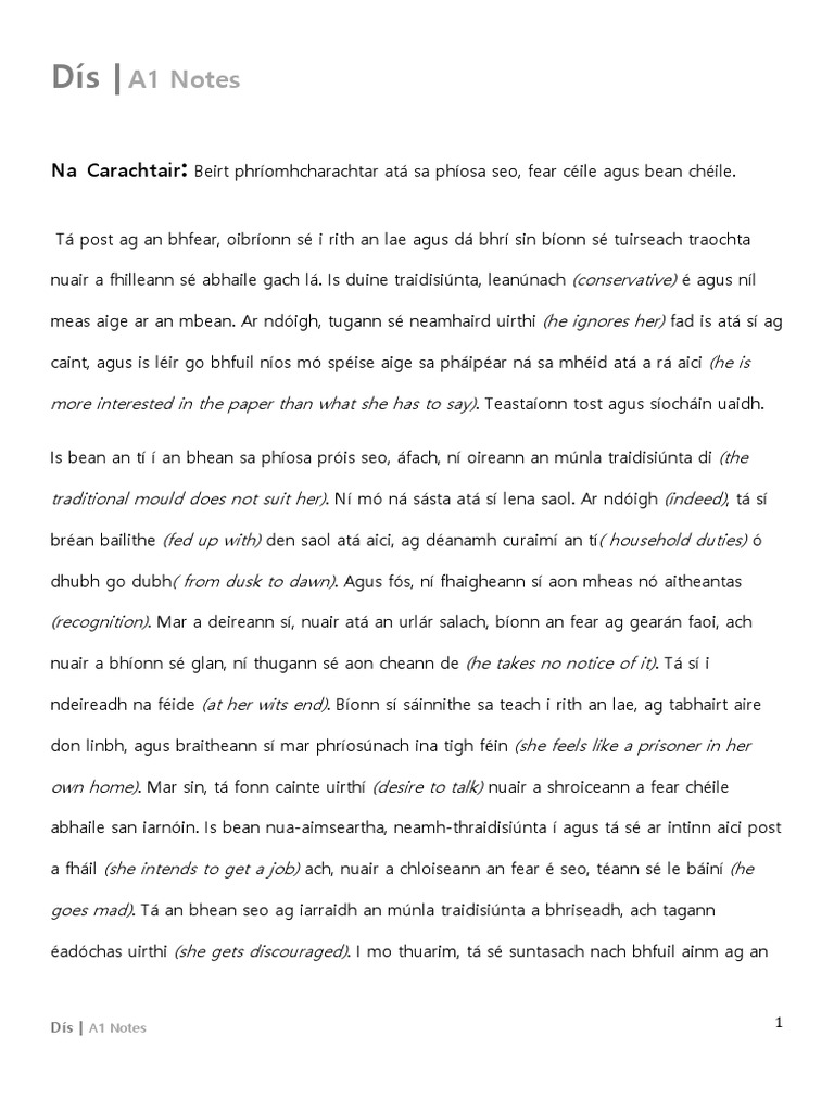 A1 Notes: Na Carachtair | PDF