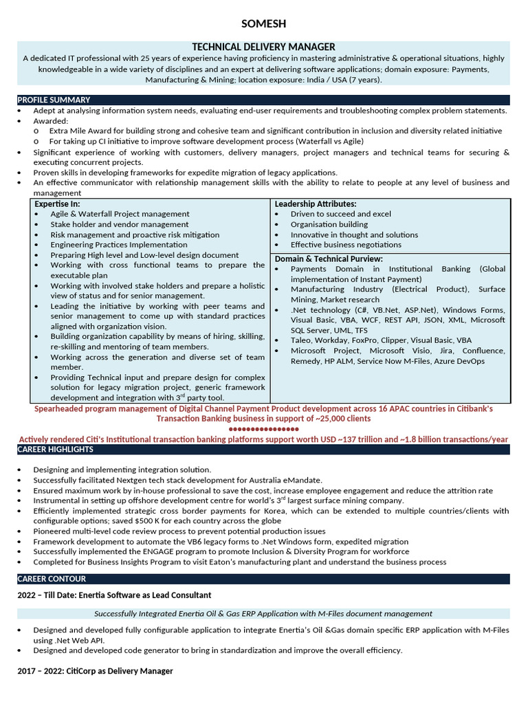 Technical Delivery Manager Profile | PDF | Enterprise Resource Planning ...