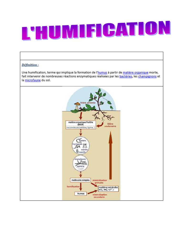 Définition et processus de l'humification | PDF | Technologie et ingénierie