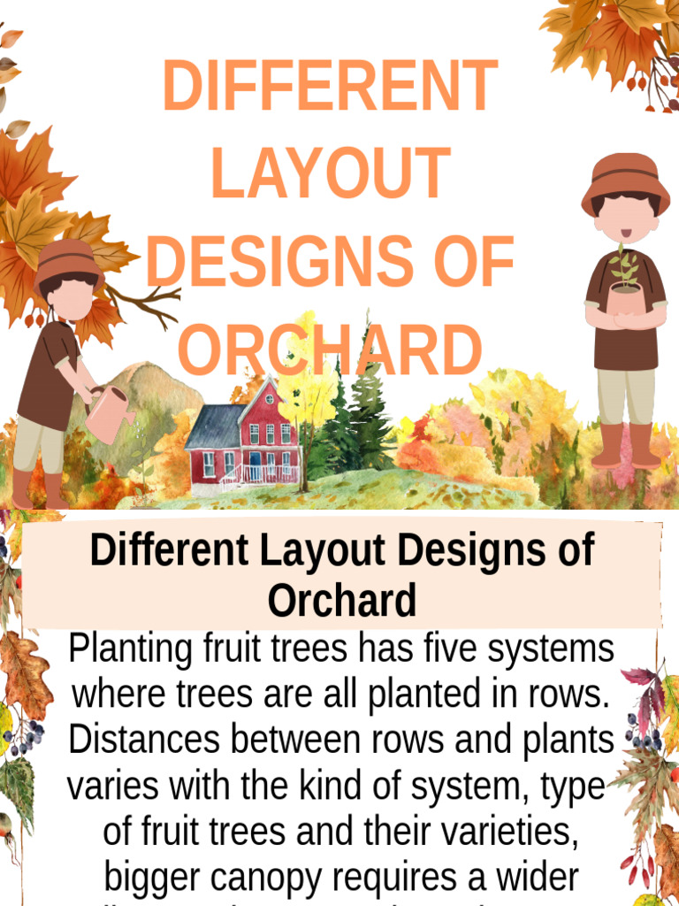 G6Q1 WEEK 3 TLE - AGRICULTURE - d4 - Layouts of Orchrd | PDF | Orchard ...