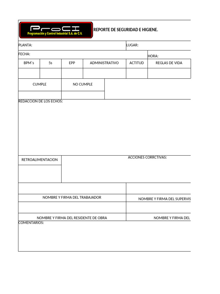 Informe de Seguridad y Higiene Laboral | PDF