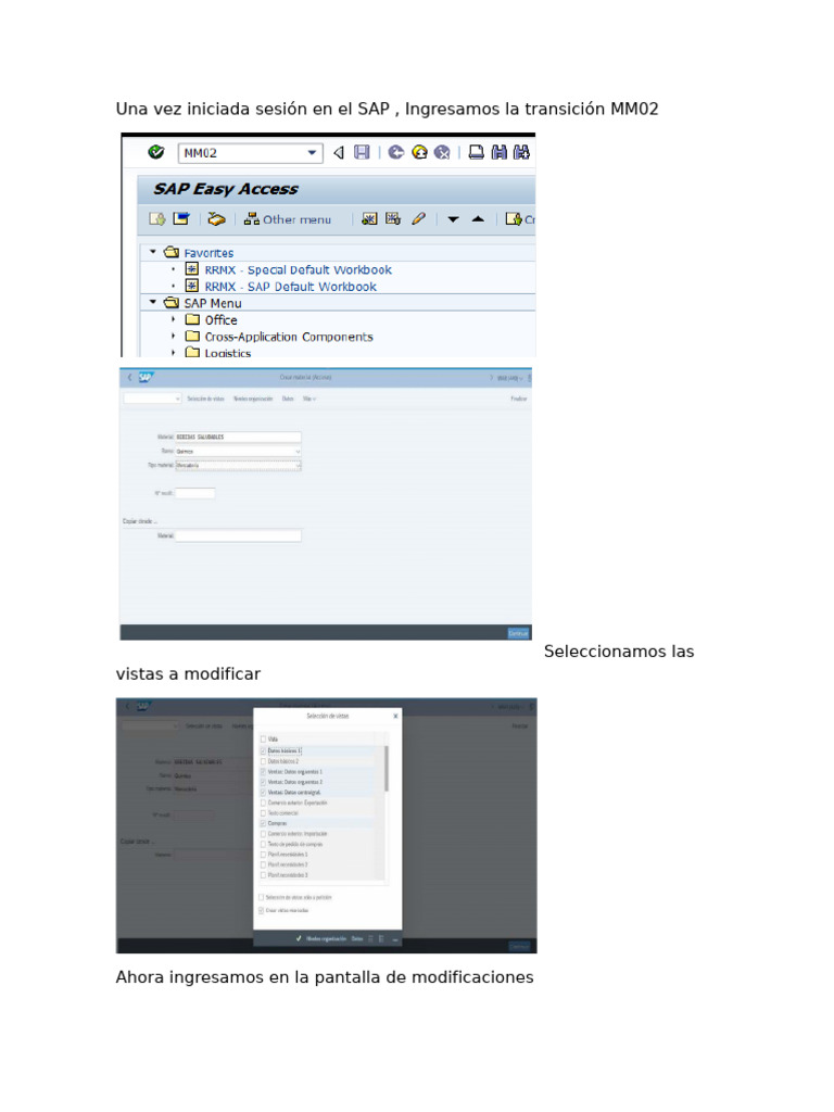 Una Vez Iniciada Sesión en El SAP, Ingresamos La Transición MM02 | PDF
