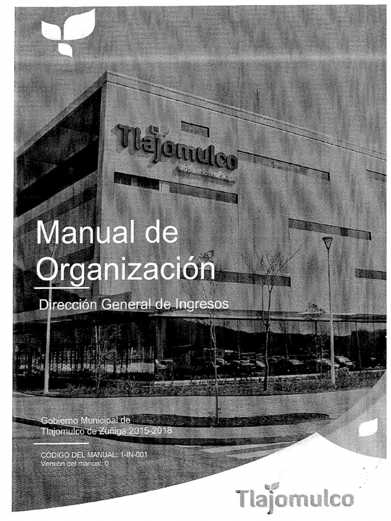 Manual de Organizacion 2015 2018 (Direccion General de Ingresos) | PDF