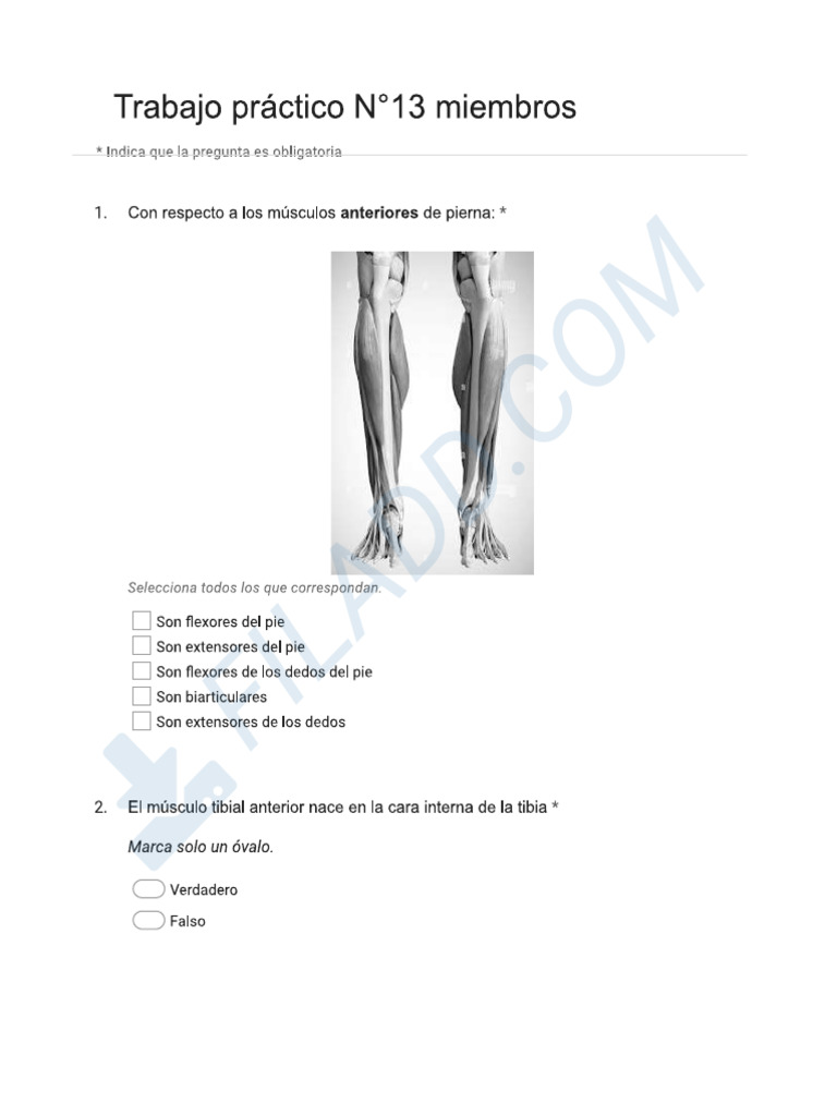 Archivo descargado de Filadd.com | PDF | Negocios