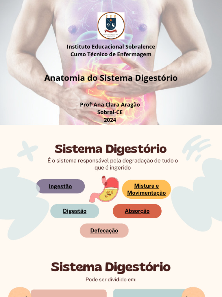 Aula 02 Anatomia Do Sistema Digestório 2 Pdf Trato