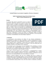 Arranjo Produtivo Local - além de Competitivo é preciso ser Sustentável