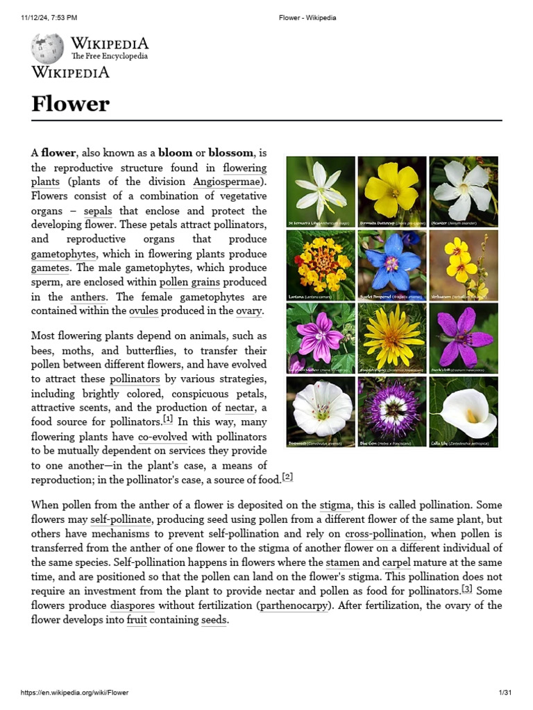 Botany Enthusiasts: Flower Anatomy | PDF | Flowers | Petal