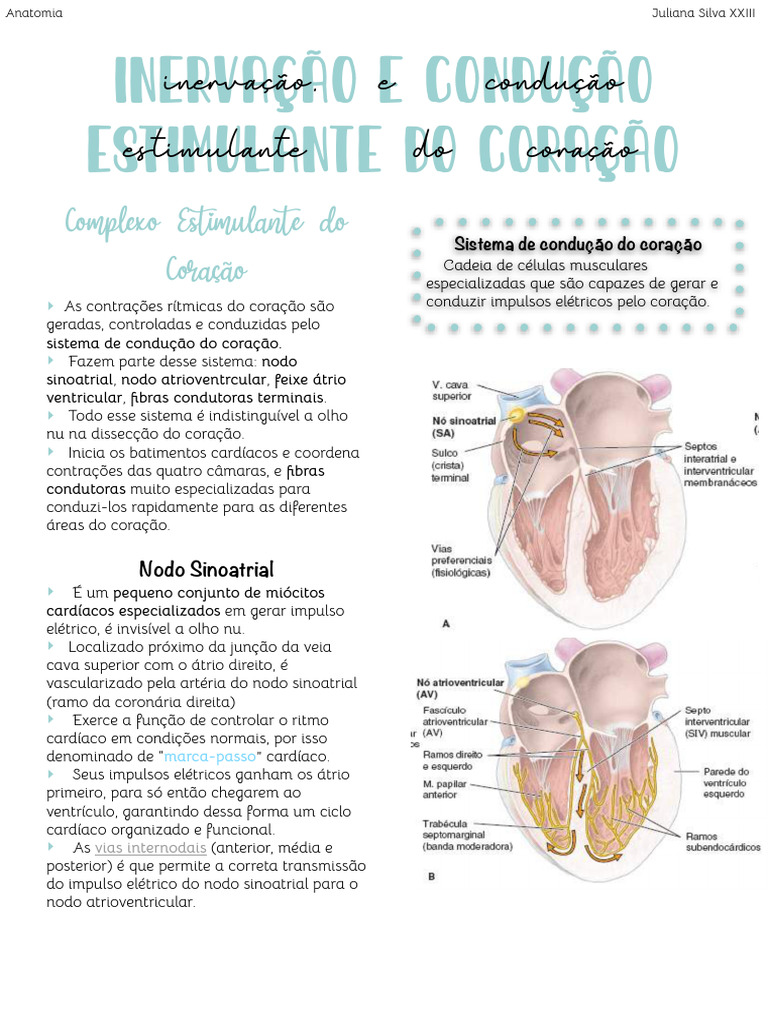 Complexo Estimulante do Coração | PDF | Coração | Átrio (coração)