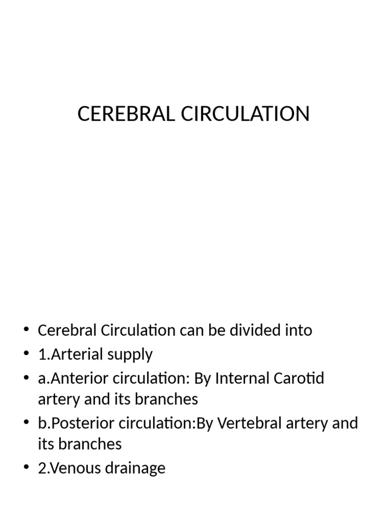 Cns Blood Supply | PDF | Cerebral Cortex | Vein