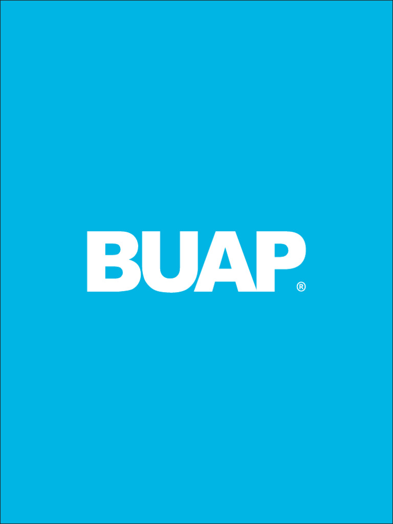 Manual Identidad Buap | PDF | Color | Azul