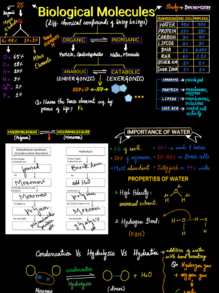 Biological Molecules | PDF | Cooking, Food & Wine | Science & Mathematics