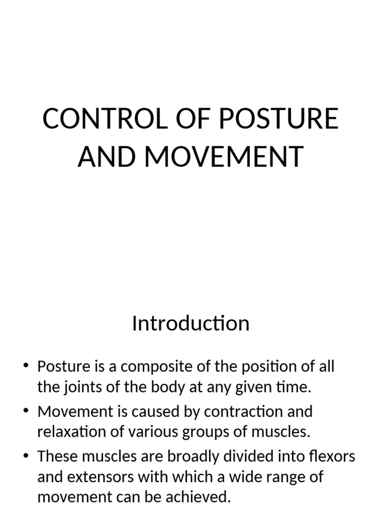 Understanding Posture and Movement Control | PDF | Motor Neuron ...