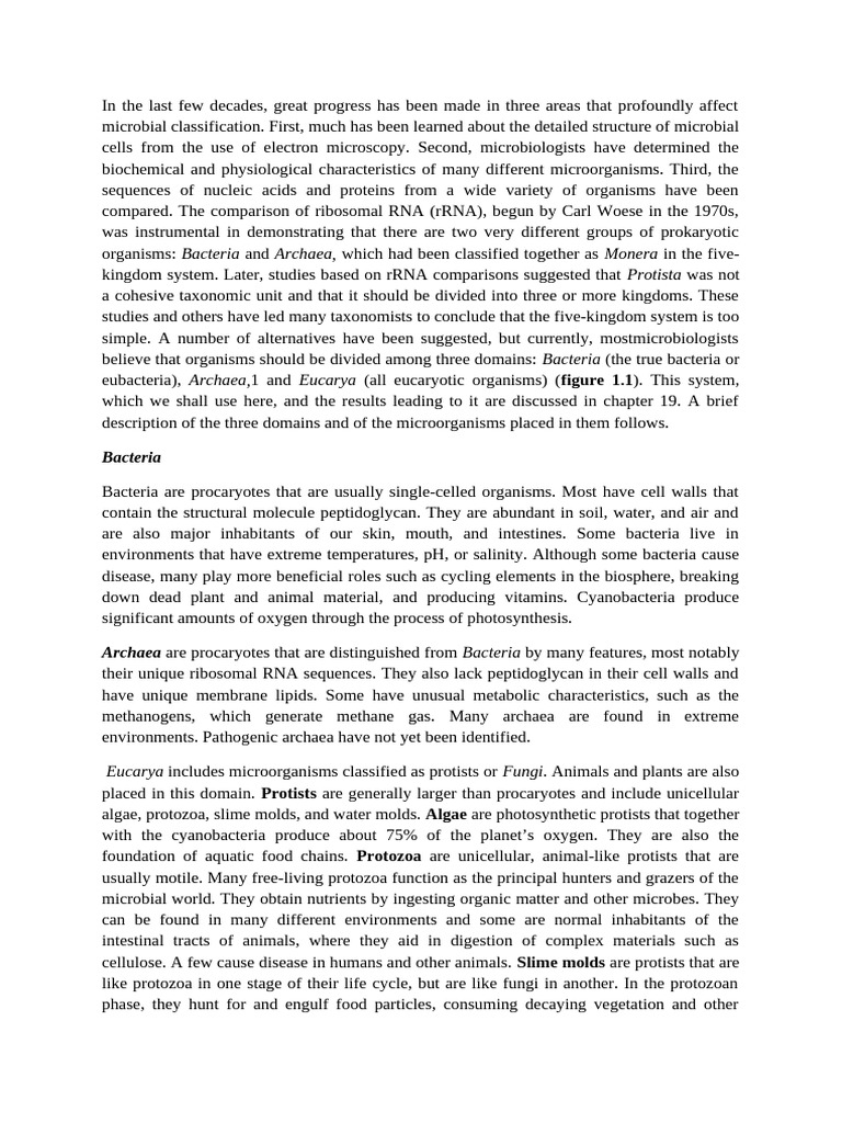 Overview of Bacteria Domain Characteristics | PDF | Microorganism | Archaea
