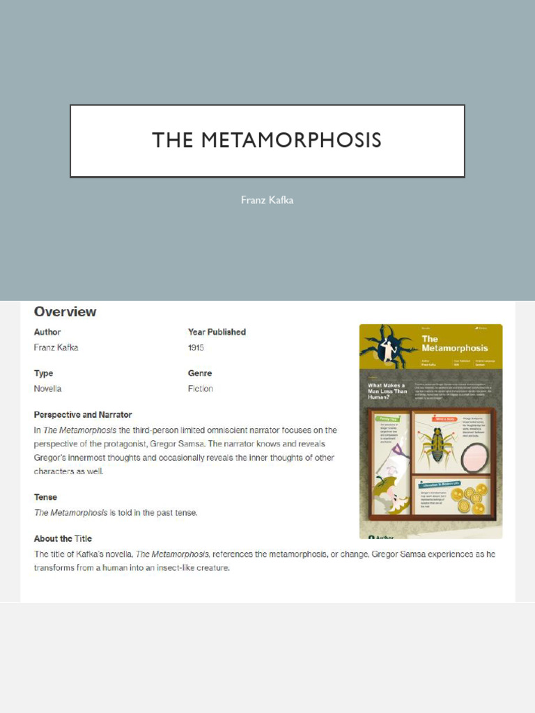 Themes and Symbols in The Metamorphosis | PDF