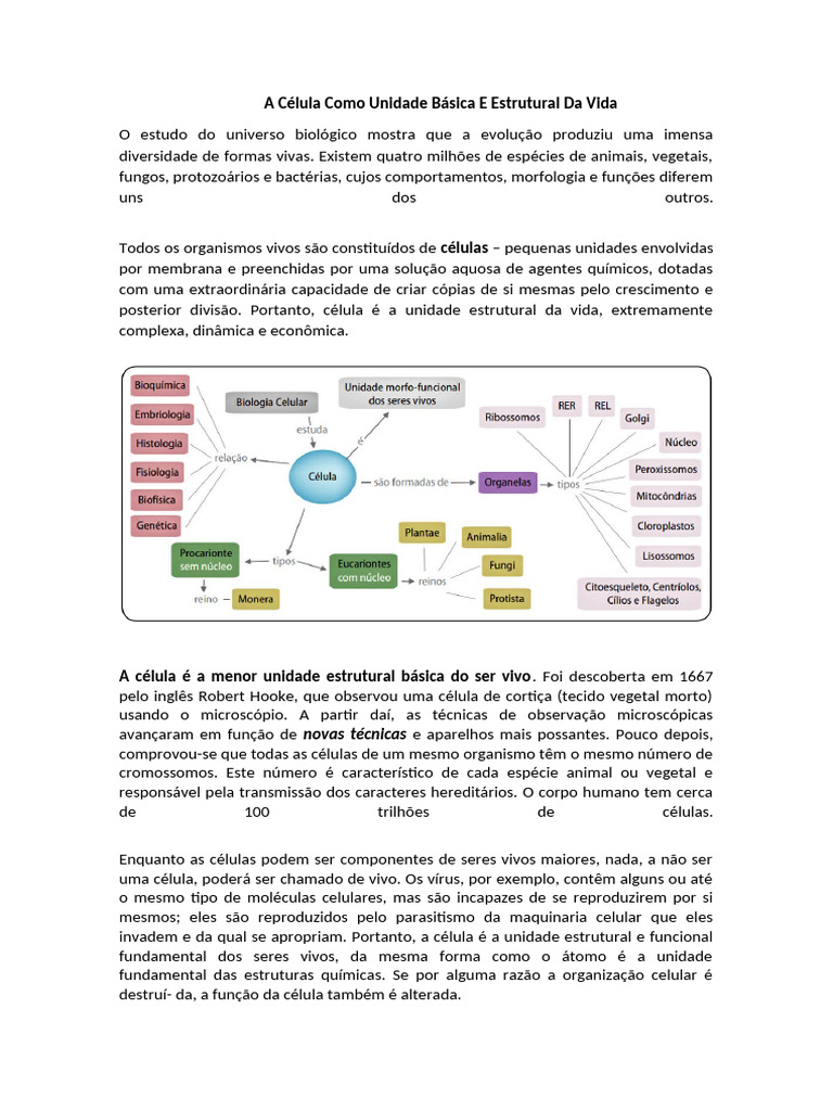 Célula: Unidade Básica da Vida | PDF | Célula (Biologia) | Organismos