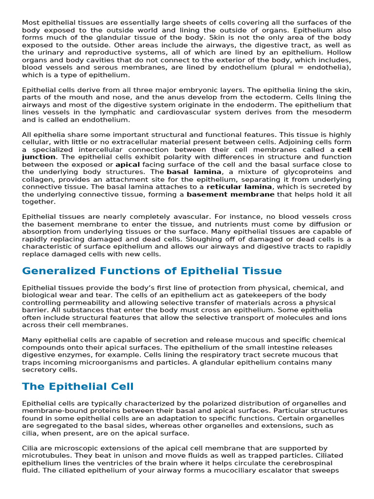 Epithelial Tissue Overview and Types | PDF | Epithelium | Cell Adhesion