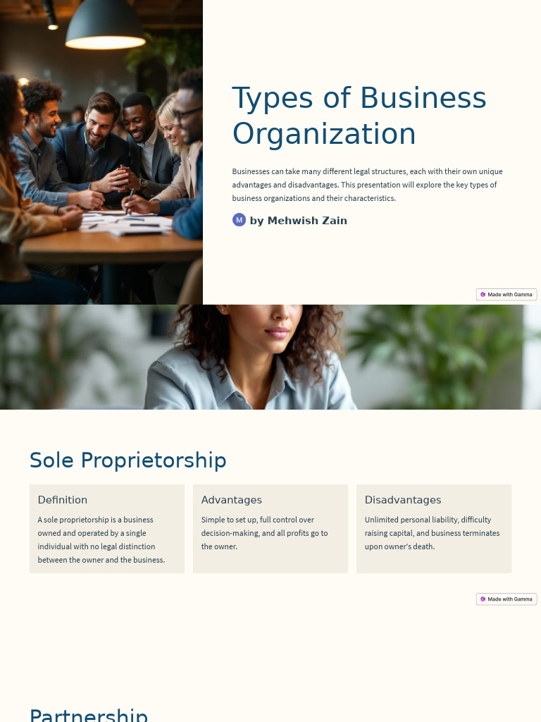 Types of Business Organization | PDF | Business | Partnership