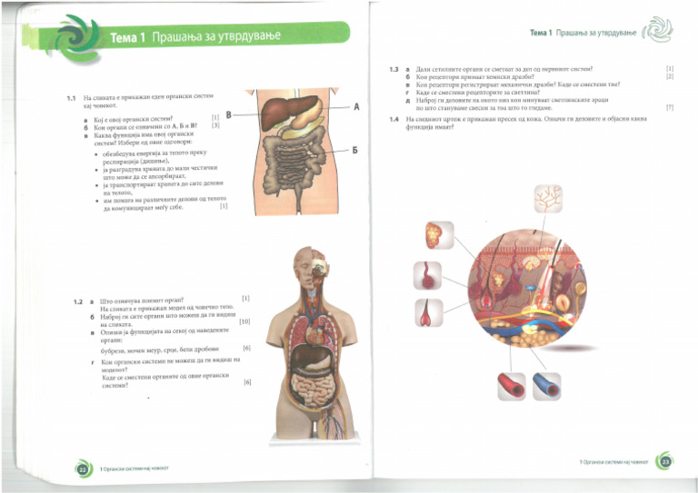 Bio 9 | PDF