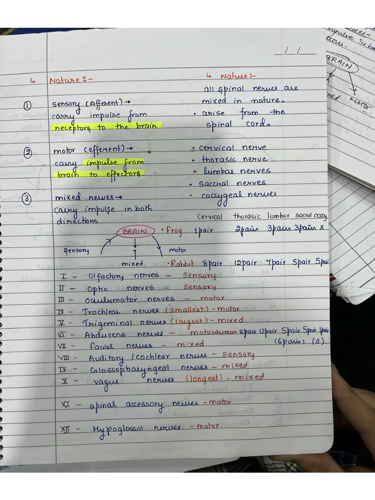 Notes 1 | PDF