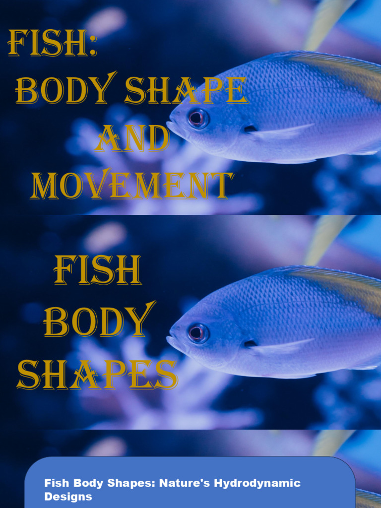 Common Fish Body Shapes Explained | PDF | Fish | Aquatic Animals