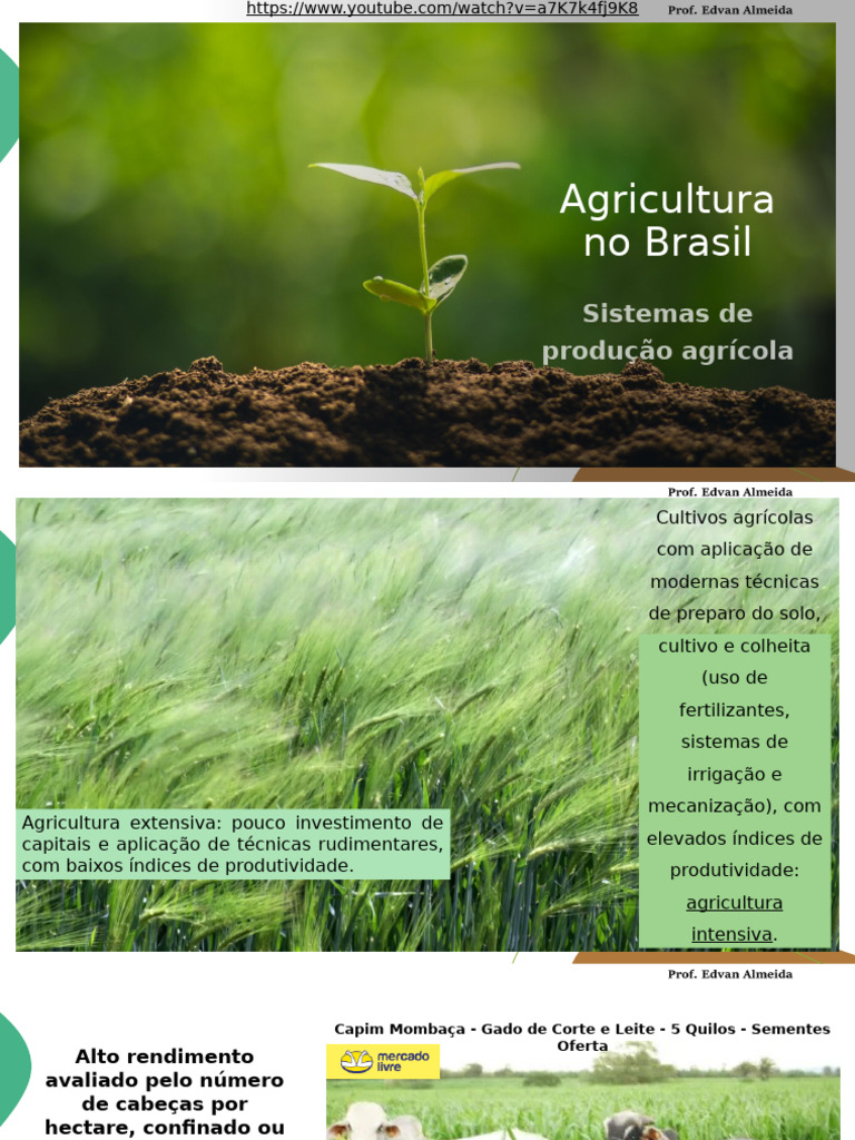 Sistemas de Produção Agrícola no Brasil | PDF | Agricultura | Agronegócio