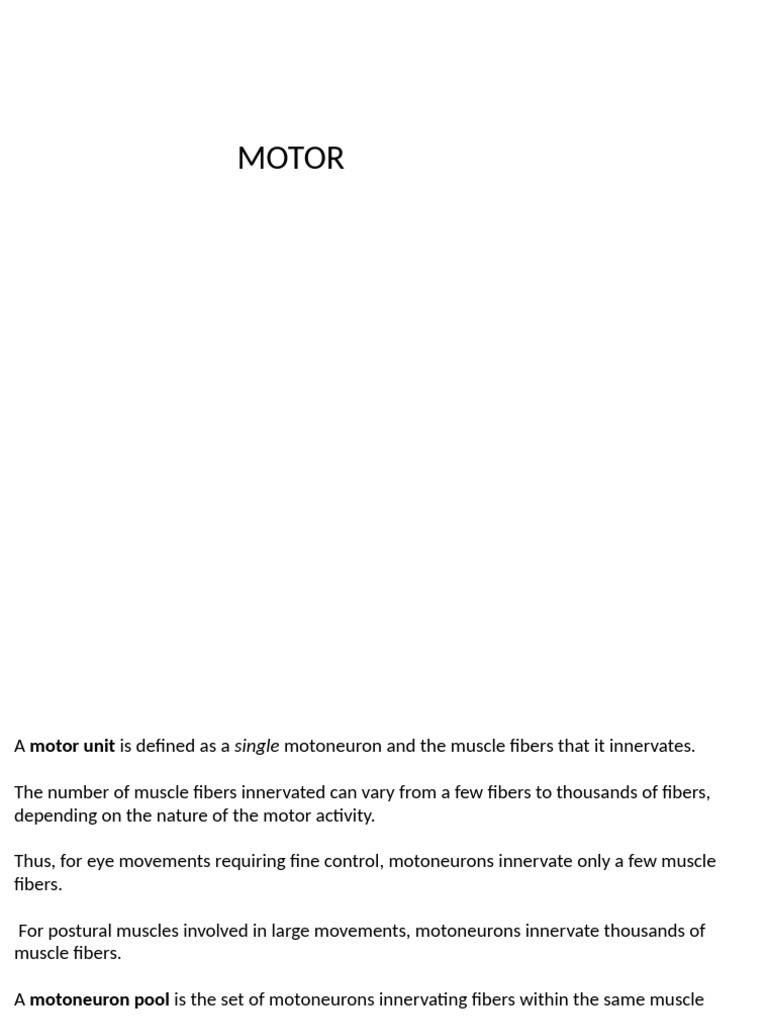 7 Reflexes | PDF | Motor Neuron | Neuroscience