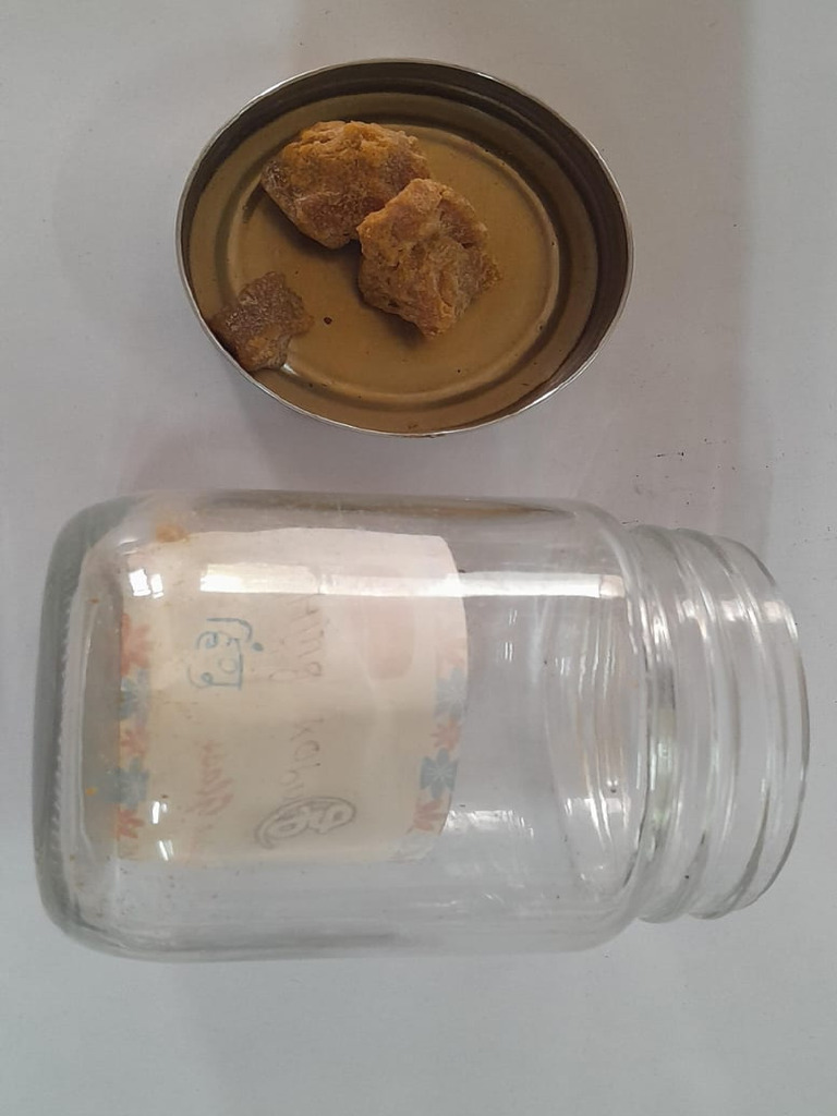 Dry Specimen Dravyaguna Practical | PDF