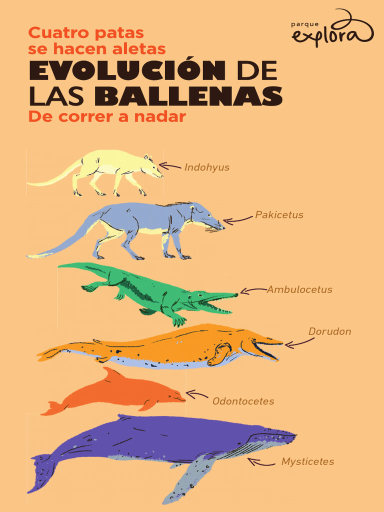 Regalito Explora 7 | PDF