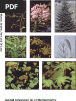 Download Phytochemistry - Evolution of Metabolic Pathways by Srram SN79183100 doc pdf