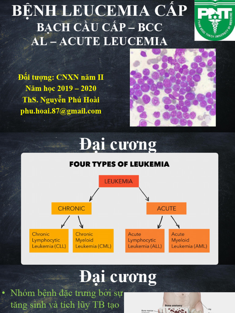 AL Sua | PDF