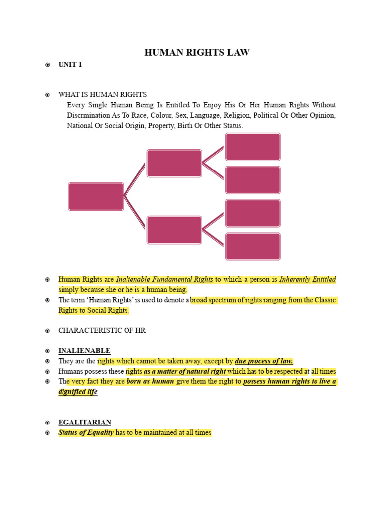 Understanding Human Rights Law Basics | PDF | Human Rights | United ...
