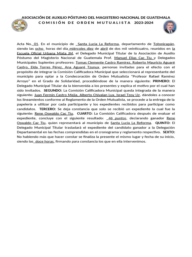 Modelo de Acta Comisión Calificadora 2024 | PDF | Política | Ciencias ...