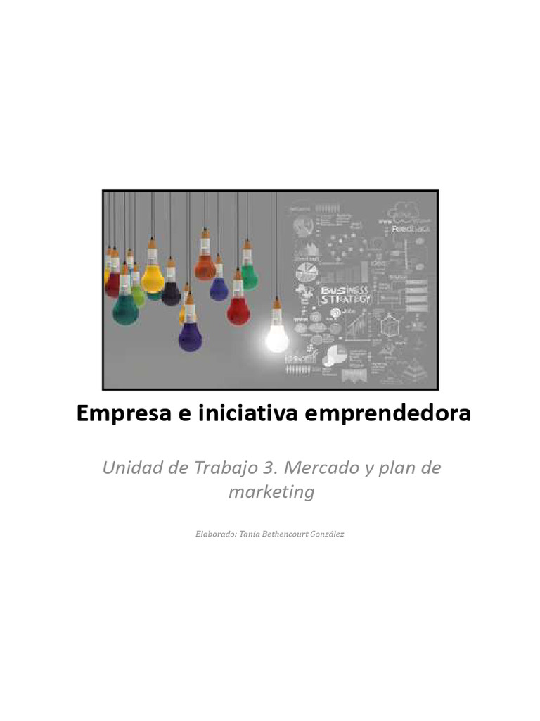 Mercado y Plan de Marketing Esencial | PDF