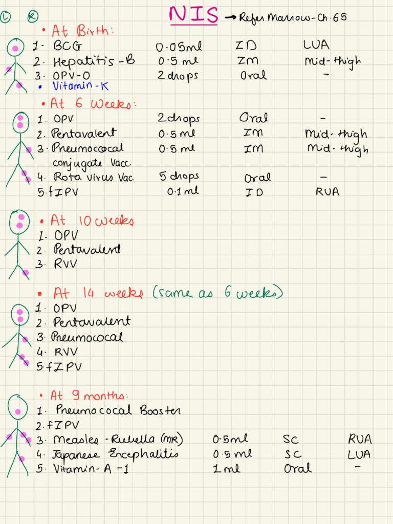 National Immunisation Schedule | PDF | Pediatrics | Medical Specialties