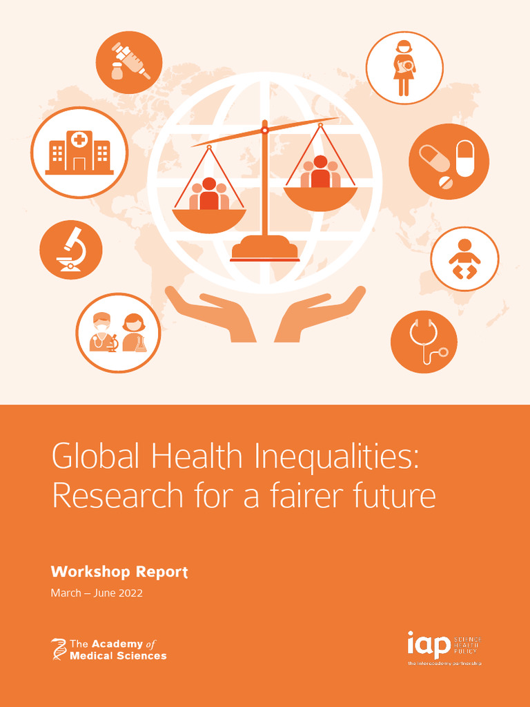 Global Health Inequalities Workshop Report | PDF | Health Equity ...