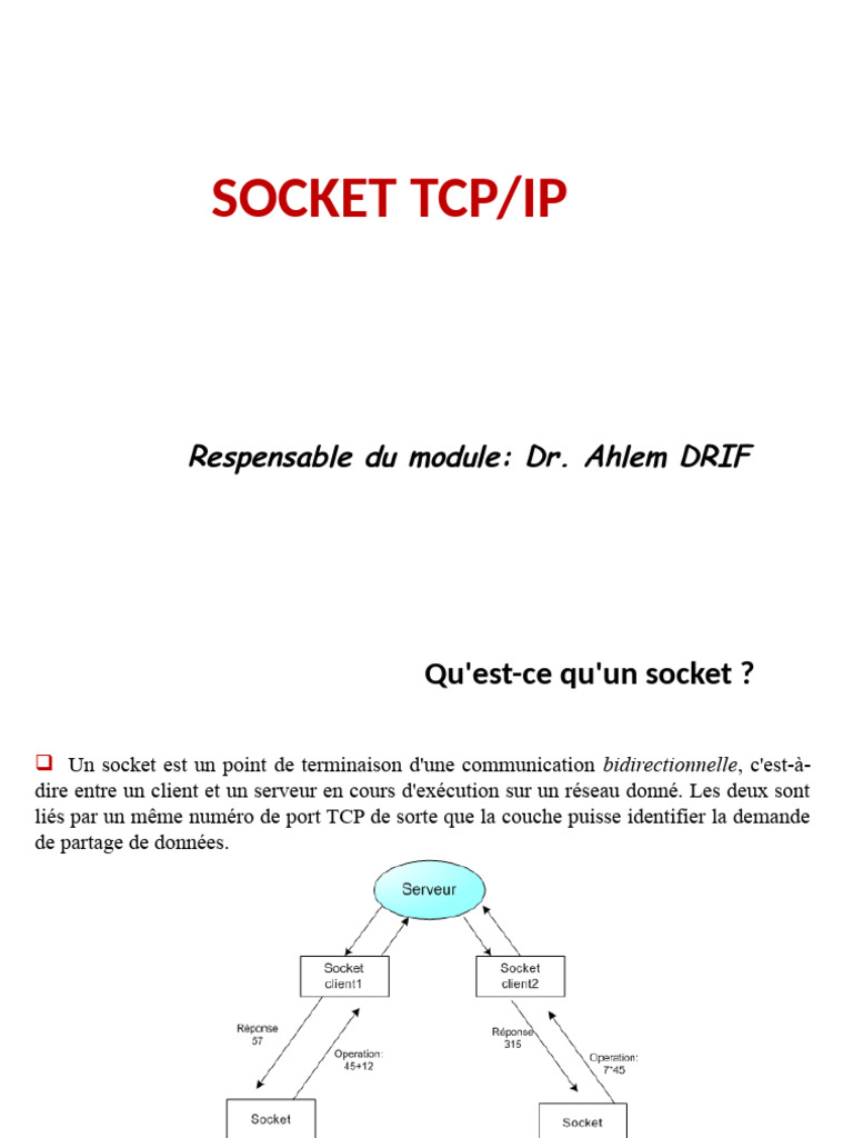 Introduction aux Sockets TCP/IP | PDF
