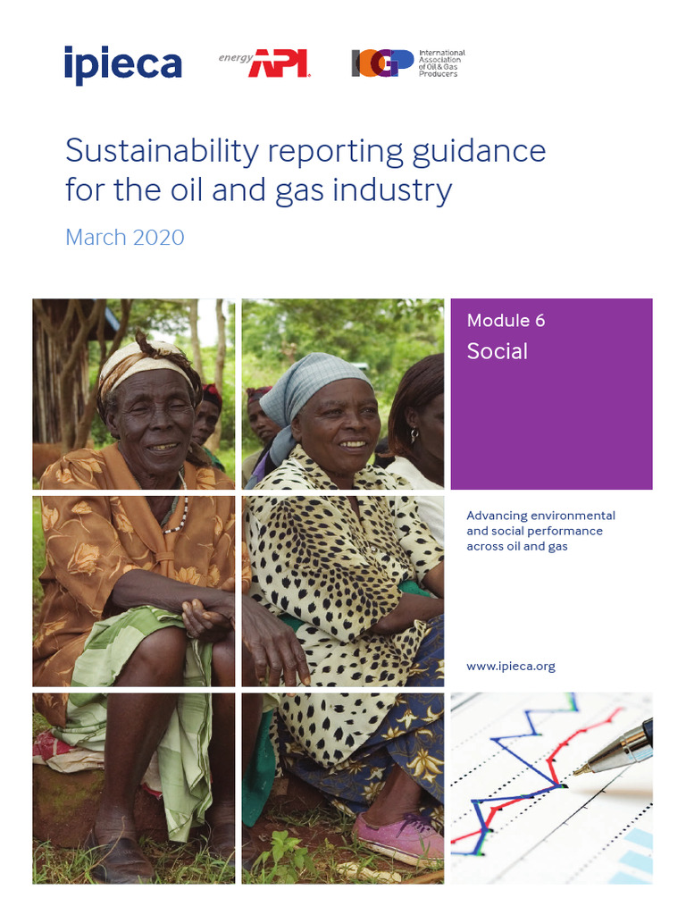 IPIECA Sustainability Reporting Guidance | PDF | International Labour ...