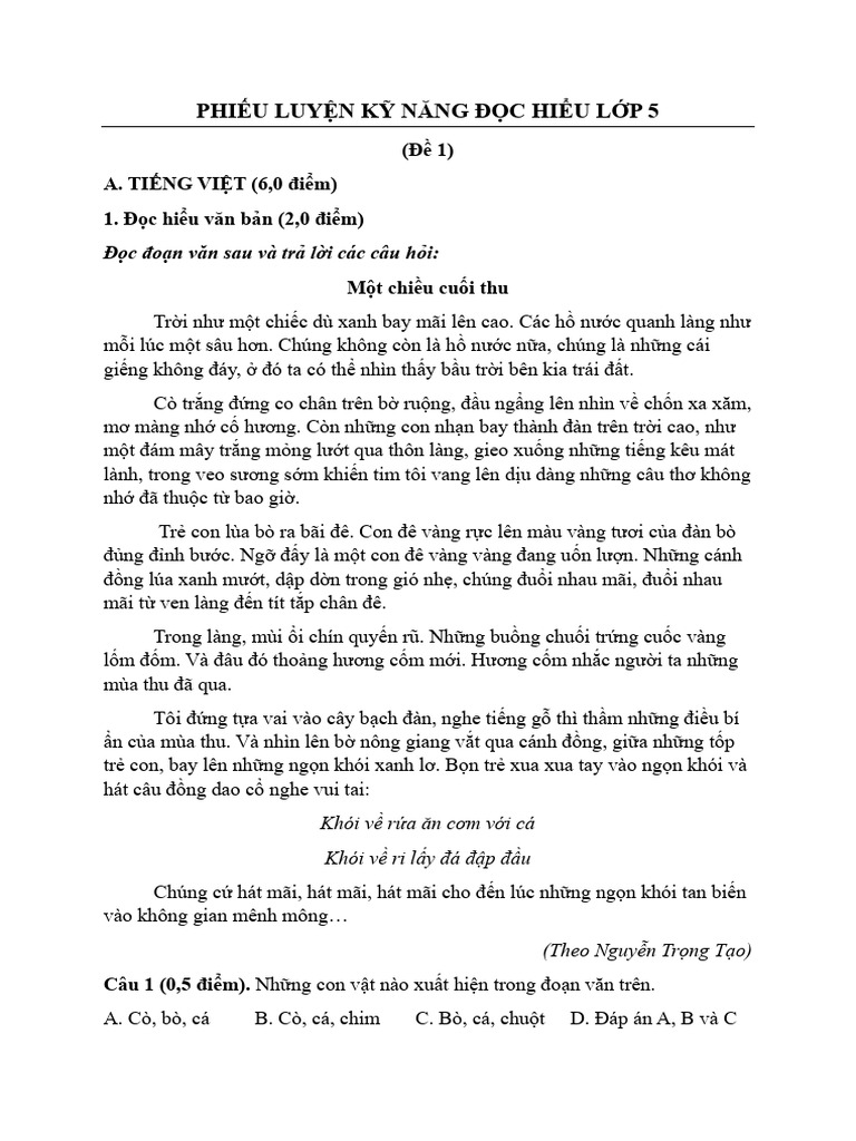 PHIẾU LUYỆN KỸ NĂNG ĐỌC HIỂU LỚP 5 | PDF